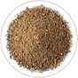 Inuline Frutafit